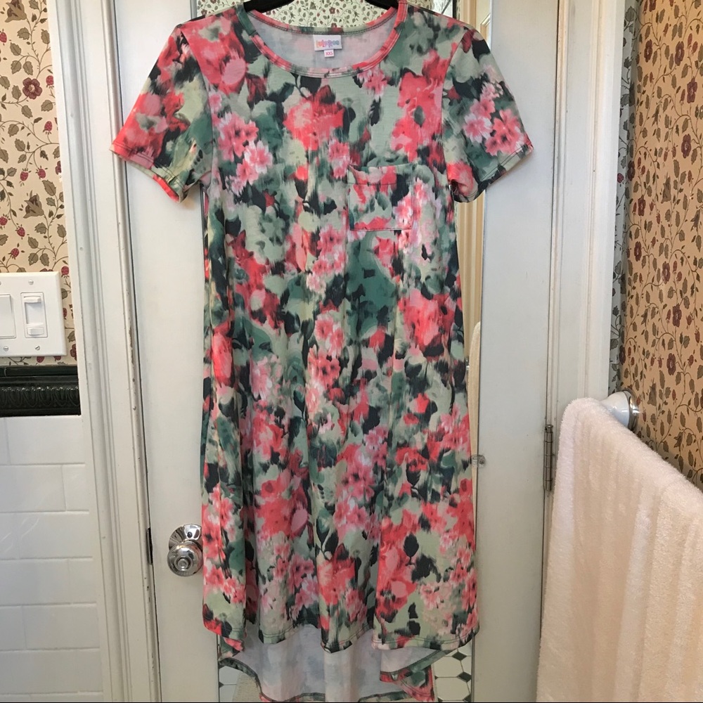 Lularoe Carly floral flower spring print dress
